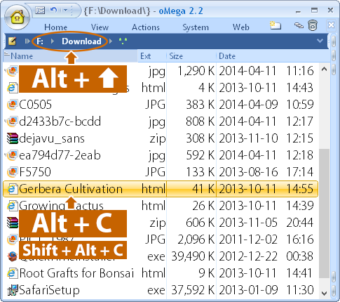 oMega Commander Features. Quick copy of the file or folder path